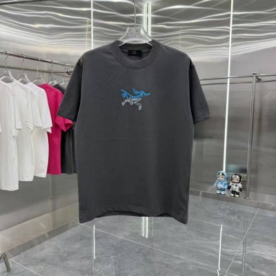 始祖鸟 2025春夏新款260克 短袖T恤 个性印花 男女同款宽松版 S M L Xl Xxl 五个码 黑色 白色 灰色