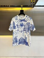 P310 1V 路易威登、2025春装新品男士短袖T恤纯棉Monogramcitywalk图案新款。这款图案T恤采用上等纯棉匹克面料制成，Monogram Ci
