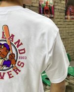 mlb-Ny 洋基队运动松鼠情侣短袖T恤 采用260克双砂面料 三针五线做工，领口包包边条 今年火爆的品牌 看到了就忍不住要自留一件 正确纹路立体印花 正确面料