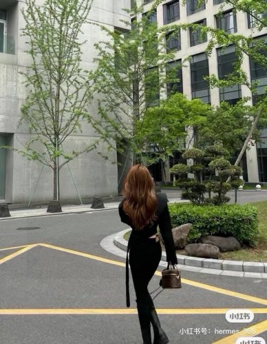lv Vanity 老花化妆箱 外形和功能性同时在线的百搭包款，灵感来自 50年前推出的中古化妆箱，背起来复古又时髦，适合日常出行 深浅不一的拼色设计提升了箱型