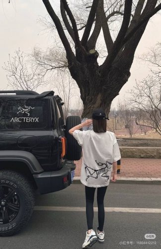 高品质 品名：始祖鸟 Arc'teryx 24Ss 后背大鸟印花Logo图案设计 男女同款圆领纯棉短袖T恤 版型；宽松版 面料：330G全棉精梳棉 颜色： 黑