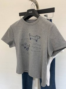 夏季新款 小狗立体刺绣图案恤 修身小版恤 下半身搭配半裙牛仔裤都很休闲 气质显瘦单品 颜色 灰色 白色 码数