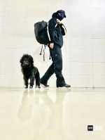 重工复刻版Arc'teryx 始祖鸟爆款顶级两色Gamma Guide Pant 防风始祖鸟雪线系列再度起航软壳长裤 内里压胶 全套辅料开模定制 只为还原最真实