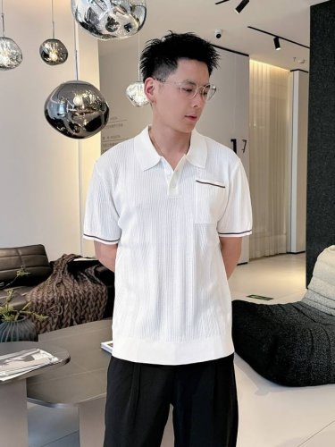 杰尼亚 2025 新品短袖Polo，帅气时尚，顶级定位顶织字母Logo，简约百搭款。面料针织 不仅挺括，保持潮流的廓形，又穿着舒适，纱织更细腻，码数M-3Xl