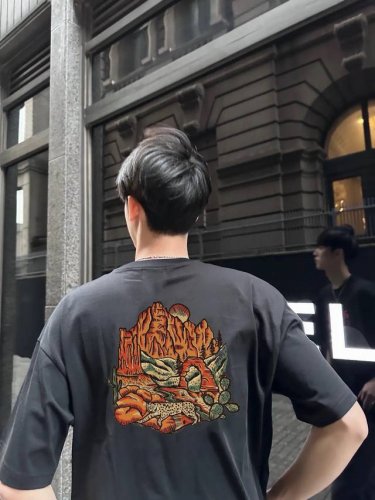 The North Face 北面 手绘系列 烈日山脉情侣短袖 商品参数 采用260克双砂面料 三针五线做工，领口包包边条 今年火爆的品牌 看到了就忍不住要自留
