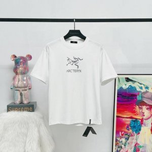 款号 S11 新款上架 新款Arc Teryx始祖鸟短袖T恤 前胸字母涂鸦鸟双重设计 潮酷时尚 32支双高克重纯棉洗水面料 双肩拉锁链底不缩水 不变形 经典百搭