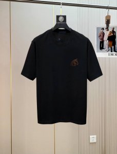 爱马仕刺绣。2530春夏新品时尚圆领短袖高级定制百搭款式！更有实用感 任何人都可以轻松驾驭 采用95%棉+5%天丝面料制作，手感非常奈斯，不起球，不变形，奢华经