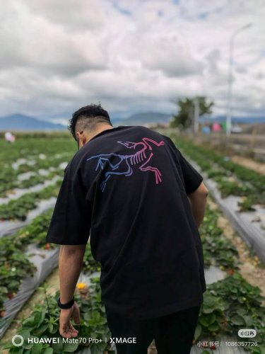 高品质 品名：始祖鸟 Arc'teryx 24S 彩色渐变印花新款后背大鸟Logo宽松男女同款圆领纯棉短袖T恤 版型；宽松版 面料：330G全棉精梳棉 颜色：