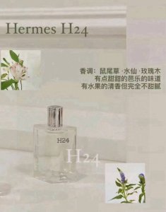 越南版本爱马仕H24香水100Ml 越南进口 海关扣押 配手提袋高端商品 塑封拆毁概不退换 敬请谅解！！ 专柜原单爱马仕H24 律动24号 刚推出的时候遭到了很