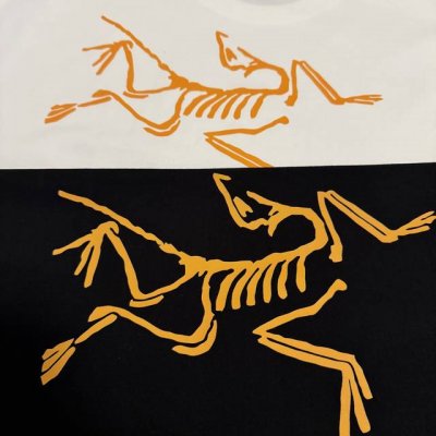 始祖鸟 Arcteryx Motus Arc'word Ss男女宽松纯棉圆领短袖 原版260G纯棉精梳面料 亲肤舒适 采用进口数码机器立体胶印 不开裂不脱胶 穿