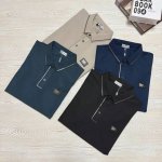 更多细节图展示！ 颜色：黑色 米白 豆绿 哈青 尺码：M L Xl 2Xl 3Xl 4Xl 简约时尚！高精单品！ 2025春季新款长袖Polo衫！高弹速干面料，