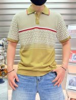 华伦天奴- 2025Ss蛇年春夏新款polo领短袖系列。精选优质蚕丝棉面料，时尚大牌元素Logo设计，上身版型超赞，面料细腻舒适透气，随意搭配都超级好看时尚型男