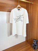Arc 始祖鸟 2025春夏新品 三标齐全 圆领短袖T恤 好货不用过多介绍 看细节 专柜码数：M-Xxxl 175 140建议L