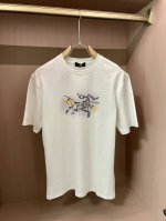 始祖鸟 官网同款 官网同款 官网同款 重磅推荐！2025Ss夏装新品 专柜在售 最新系列图案Logo短袖T恤 必须人手一件的节奏！进口顶极精梳棉面料，极为亲肤舒