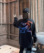 140包邮 高品质！始祖鸟/Arc'teryx25新款渐变鸟情侣款长袖T！宽松版型！ 采用顶级230克凯迪纯棉爽滑面料！无敌质感！ 高端面料无任何缺点！ 肩部过
