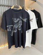 Arcter*X始*祖鸟 2025春夏新款男女同款短袖T恤，户外品牌可能大家第一想到的就是加拿大鹅、始祖鸟。给人一种标签试的感觉！除了在款式设计上颇有造诣之外，