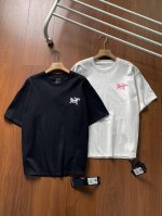 主图110 2025新款Arc'teryx 始祖鸟 系列Kragg Cotton Bird Tile 百分百棉T恤背后拼图 男女同款短袖T恤。 260纯棉双纱克