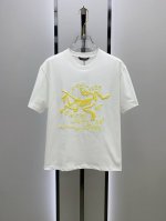 市场有仿版认准工艺和面料 25Ss始祖鸟家纯棉最新面料 最高版本 胸前始祖鸟发泡+字母刺绣双工艺经典标识图案Logo时尚简约潮流短袖，最顶级的品质专柜原单短袖，