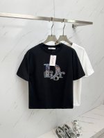 dior 2025春夏新款首发专柜最新款短袖圆领T恤 高端订制 设计前卫时尚！品牌Logo重工艺设计 高端定制280克面料.手感柔软.穿着舒适.专柜级别精致车线