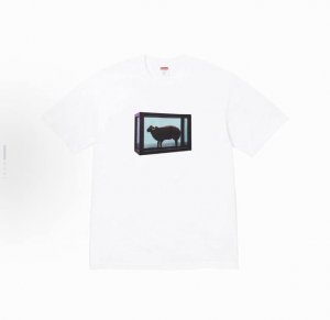 8008款Supreme X Damien Hirst 联名款 Ss25 Week1 Tee 绵羊印花图案圆领短袖T恤 男女同款 码数Smlxl 黑色白色