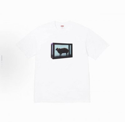 8008款Supreme X Damien Hirst 联名款 Ss25 Week1 Tee 绵羊印花图案圆领短袖T恤 男女同款 码数Smlxl 黑色白色