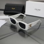 供 1V1版本 Celine新款墨镜也太好看了吧内娱首位拿到Celine全球最高Title的女演员 刘诗诗同款墨镜，预测迎来一波断货王 Celine 作为纯粹巴