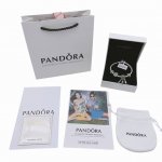 pandora 潘多拉斑斓之梦手链 潘多拉情人节新款 生活可以轰轰烈烈也可以细水长流 星辰指引1方向 云和光铺展成你想要的样子 斑斓之梦 噩梦从此远离 惟愿美梦
