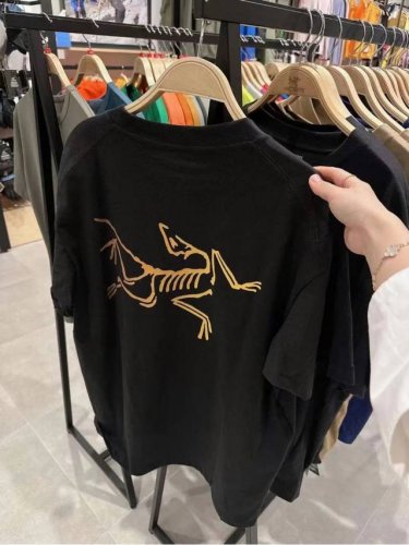 丶上新 始祖鸟圆领T恤 上身图 始祖鸟 Arc'teryx 彩色渐变印花新款后背大鸟Logo宽松男女同款圆领纯棉短袖T恤 宽松版，330G全棉精梳棉 颜色：黑色
