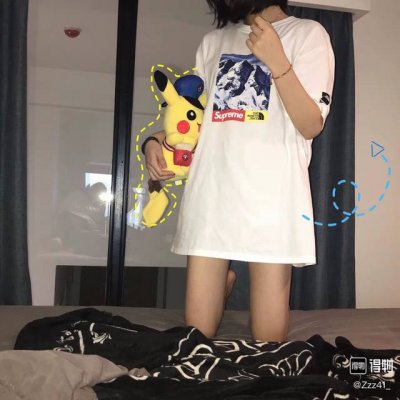830款Supreme X 北面 The North Face 联名款 Fw17 雪山短袖T恤 男女同款 码数Smlxl 颜色黑色白色