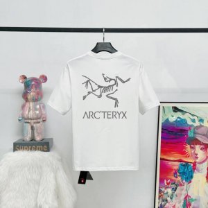 款号:S12 6色齐发Ayc Teryx 始祖鸟2025Fw短袖T恤 小鸟字母Logo印花短袖 高端32S双纱250克面料 重磅面料 定制拉架罗纹同缸同染 三标