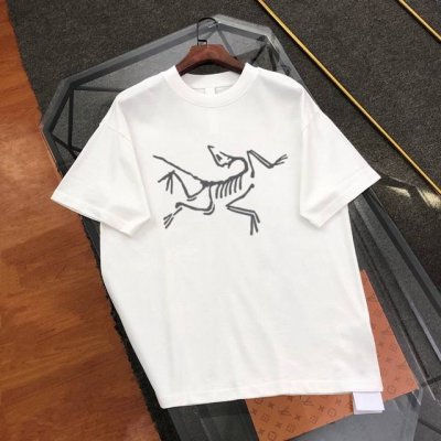高品质 始祖鸟Arc'teryx 2025印花图案纯棉短袖T恤，定制32支300克同缸染面料 手感非常舒服 春夏最新砖柜同步 Os落肩版型 时尚又个性 超级百搭