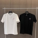 100 25春夏 Arc,Teryx始祖鸟Kragg Cotton渐变色大Logo棉质短袖 只要是Arc'teryx经典版型服饰上带有明显的Logo，这几年都会