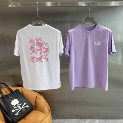 鸟家 始祖鸟短袖 简约干净，背面那独特的粉色图案设计，个性又吸睛 面料舒适透气，亲肤感十足，M-3Xl 隔天