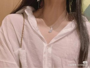 实拍女神必备 施华洛世奇Nice羽毛项链+耳钉套装 代购版 配专柜全套包装 小票 专柜同步在售 优雅灵动羽毛 叙说颈间柔情 羽毛项链耳钉两件套 羽毛是现时最受欢