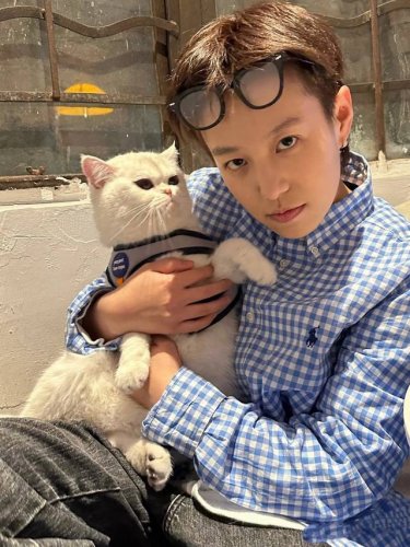资讯图 Polo Ralph Lauren衬衫 格纹拼色翻领单排扣长袖 浅蓝色 女款