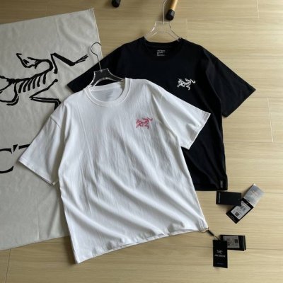 主图 2025新款Arc'teryx 始祖鸟 系列Kragg Cotton Bird Tile 百分百棉T恤背后拼图 男女同款短袖T恤。 260纯棉双纱克人体舒