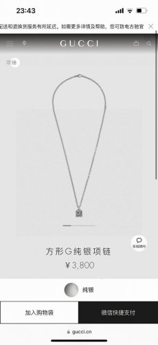 gucci古驰方型G项链 泰银版本 别具一格的质感和色泽，使首饰粗犷而古朴。经过特殊处理,可以保持长久不变色,表面硬度也大大增强。,因为其工艺来源于泰国,光芒闪