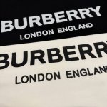 burberry 巴宝莉春夏新款经典大Logo情侣短袖 穿上就是舒适自在 减龄又显瘦的存在，慵懒而随性，结合干净简单的色系就特别耐看，适合日常穿着～复古标识 显