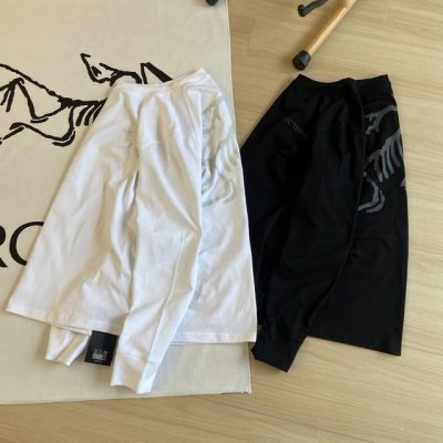细节图 1:1完美复刻 出入专柜无压力 专柜原样打板 天花板级别Arc'teryx 始祖鸟背影杀春秋无敌单品两色经典后背大Logo新品圆领舒适纯棉舒适百搭长袖T