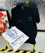 鸟 Arc‘Teryx 始祖鸟25夏季新款印花休闲宽松情侣款 短袖T恤D1019 细节:版本一比一复刻，吊牌 领标 水洗。 面料：采用40织双纱320克面料，原