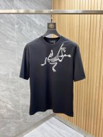 Arc 始祖鸟 2025年春夏新品上新 三标齐全 丝光棉圆领短袖T恤 好货不用过多介绍 看细节 专柜码数 M-Xxxl 175 140建议L
