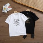 品牌：始祖鸟 Arcteryx 尺码：M-L-Xl-Xxl 颜色：白色-黑色 类型：男士运动速干T恤 材质：260克运动户外科技棉 领型：正肩款圆领 袖长：短袖