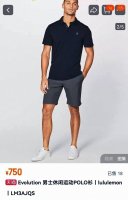 一触即凉的夏日衣橱王炸 今年最潮嗨的一款polo 露露Lulu家最新索罗娜冰丝透气腋下网眼高弹力polo衫商务休闲翻领短袖 当38 高温遇上-5 冰丝触感 肌肤