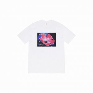 842款Supreme Week 4 Supreme X Yohji Yamamoto 山本耀司 联名款 花卉图案短袖T恤 男女同款 码数Smlxl 黑色白色