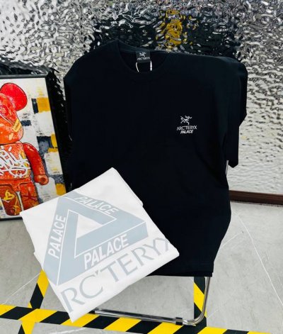 arc Teryx palace联名始祖鸟25夏季新款印花休闲宽松情侣款 短袖T恤Dt1052 细节:版本一比一复刻 吊牌 领标 水洗 面料 采用40织双纱32