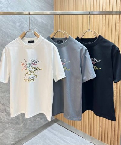 Arc 始祖鸟 2025春夏新品 三标齐全 圆领纯棉短袖T恤 好货不用过多介绍 看细节 专柜码数：M-Xxxl 175 140建议L