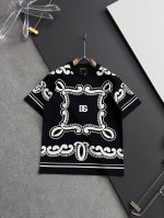2025独家 新品！Dg*爆款手工 美国杜邦公司所罗纳面料黑科技 爆款现货春夏短袖，简约基础衣橱神器， 休闲百搭必备款 做工走线质感一流，三色推荐 修身版型码数