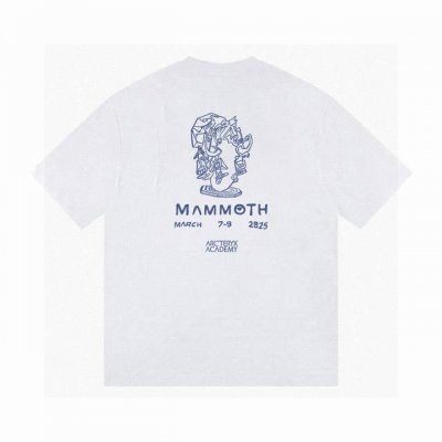 高品质鸟象联名25Ss印花短袖！胸前品牌字母Logo大牌感十足！高端大气完美演绎，经典圆领不挑人版型上身巨显瘦 面料采用230克纯棉面料，保证舒适性同时透气冰爽