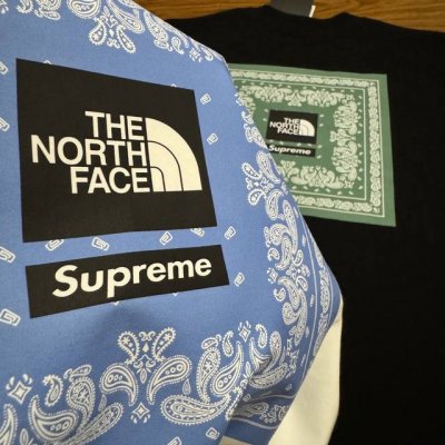 the North Face北面联名Supreme短袖T恤情侣款青花瓷春夏新款户外舒适透气半袖 260G双纱长绒棉面料 透气柔软舒适亲肤 不缩水不起球 抖音 I
