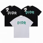 款号：G2120 Dior 2025春夏新款首发专柜最新款短袖圆领T恤印花 -面料：260G双纱纯棉短袖，配套320G纯棉罗纹 原版面料 官方同款 男女同款 颜
